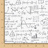 Toile Blanche Einstein - Ribes y Casals