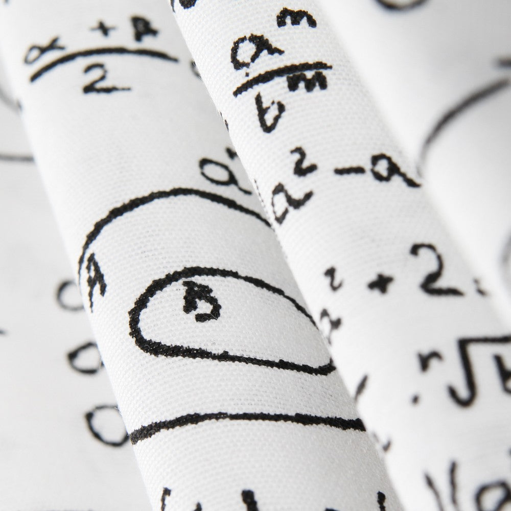 Toile Blanche Einstein - Ribes y Casals