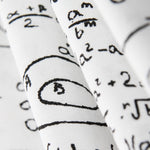 Toile Blanche Einstein - Ribes y Casals