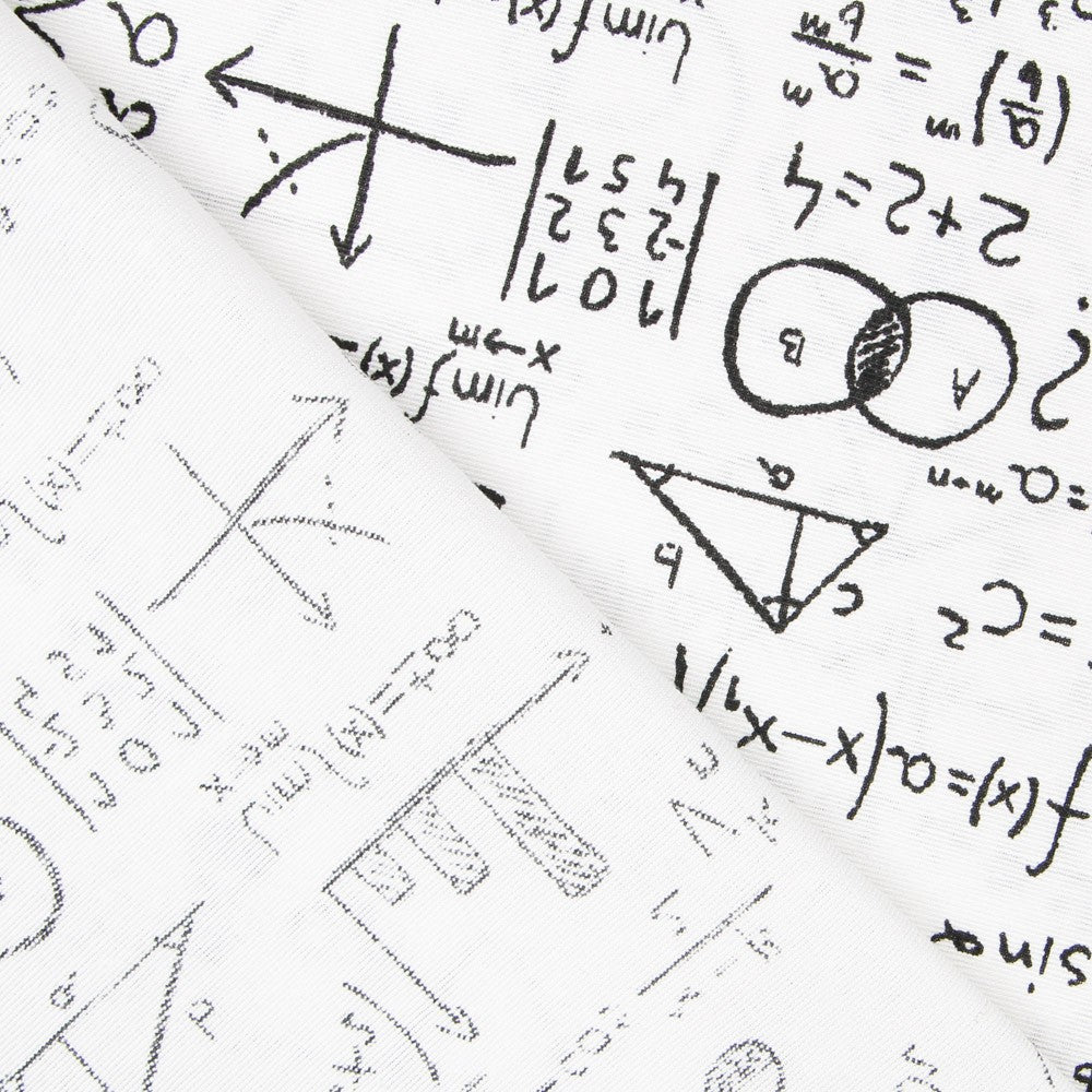 Toile Blanche Einstein - Ribes y Casals