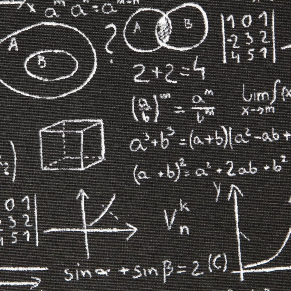 Toile Noire Einstein - Ribes y Casals