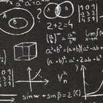 Toile Noire Einstein - Ribes y Casals