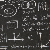 Toile Noire Einstein - Ribes y Casals