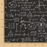 Toile Noire Einstein - Ribes y Casals