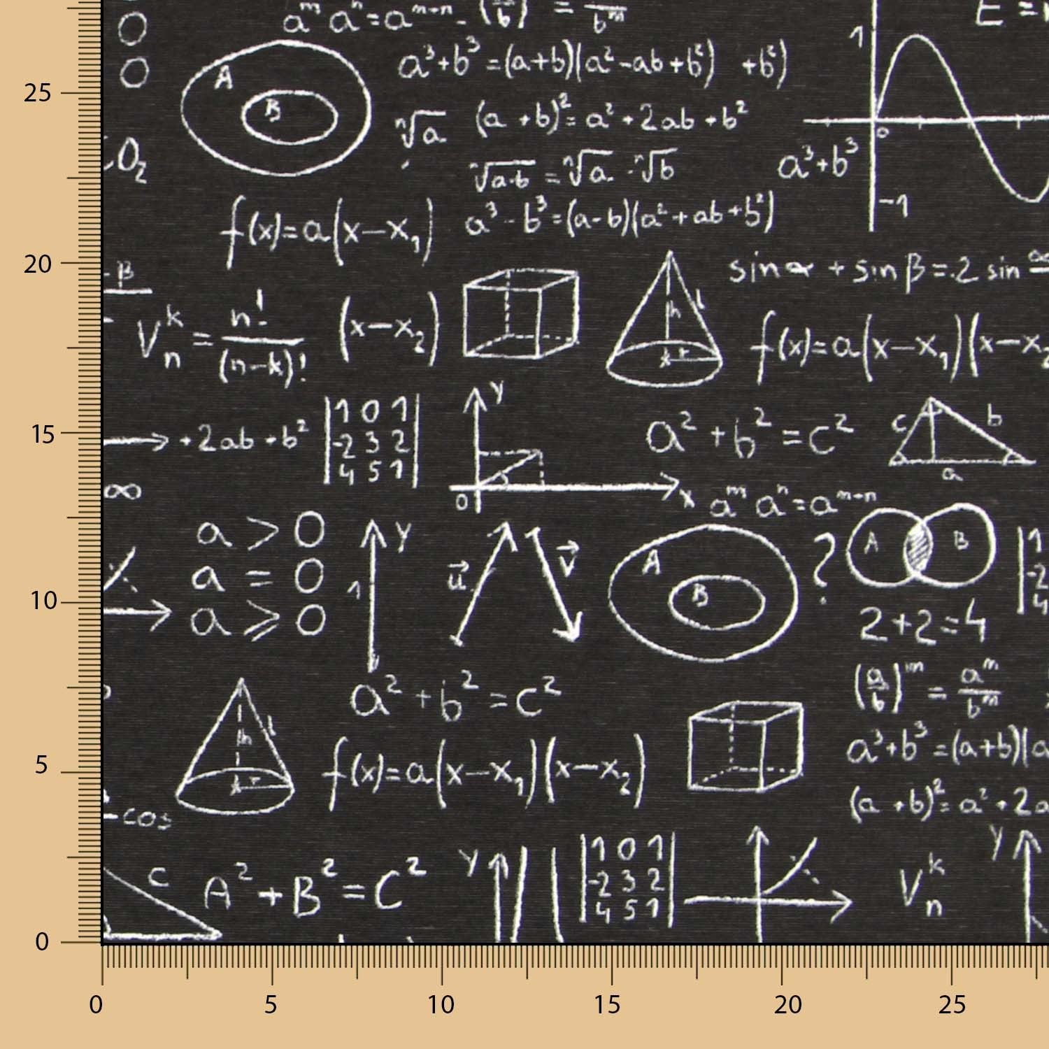 Toile Noire Einstein - Ribes y Casals