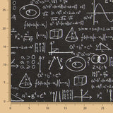 Toile Noire Einstein - Ribes y Casals