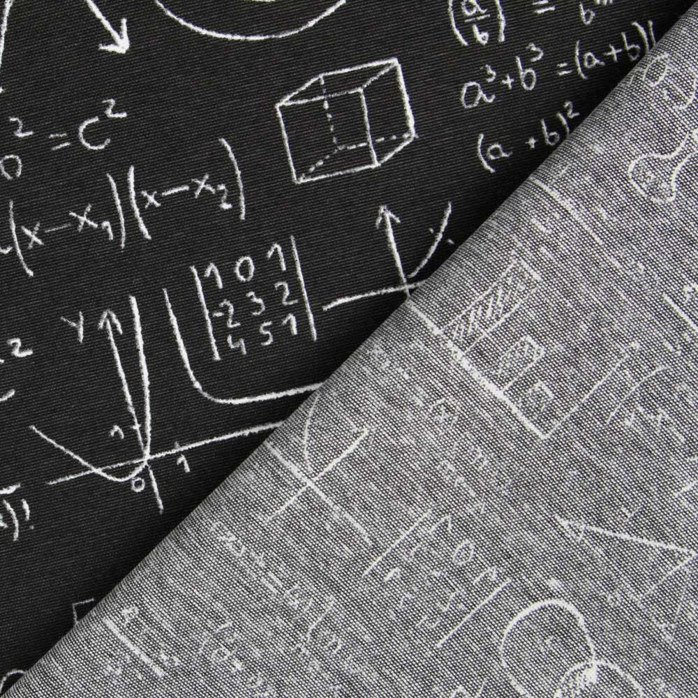 Toile Noire Einstein - Ribes y Casals