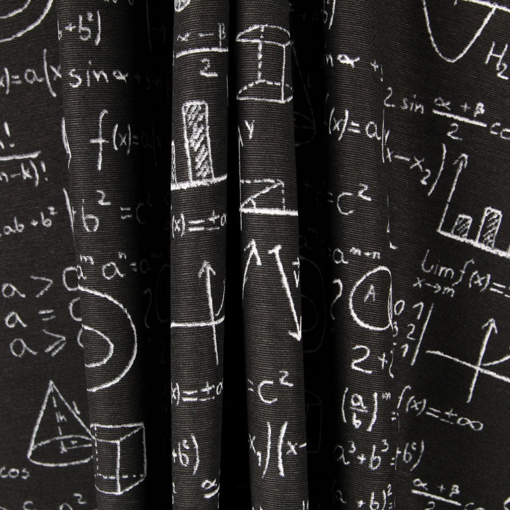 Toile Noire Einstein - Ribes y Casals