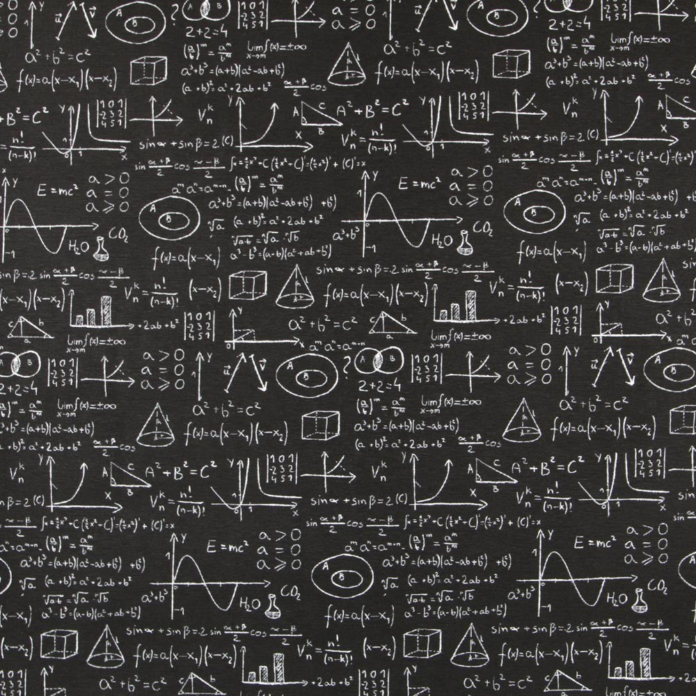 Toile Noire Einstein - Ribes y Casals