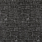 Toile Noire Einstein - Ribes y Casals