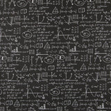 Toile Noire Einstein - Ribes y Casals