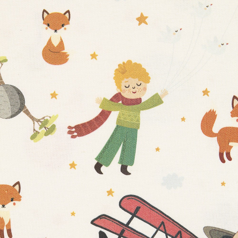 Toile Le Petit Prince - Ribes y Casals