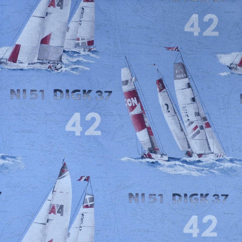 Toile Imprimée Arctique Bleu - Ribes y Casals