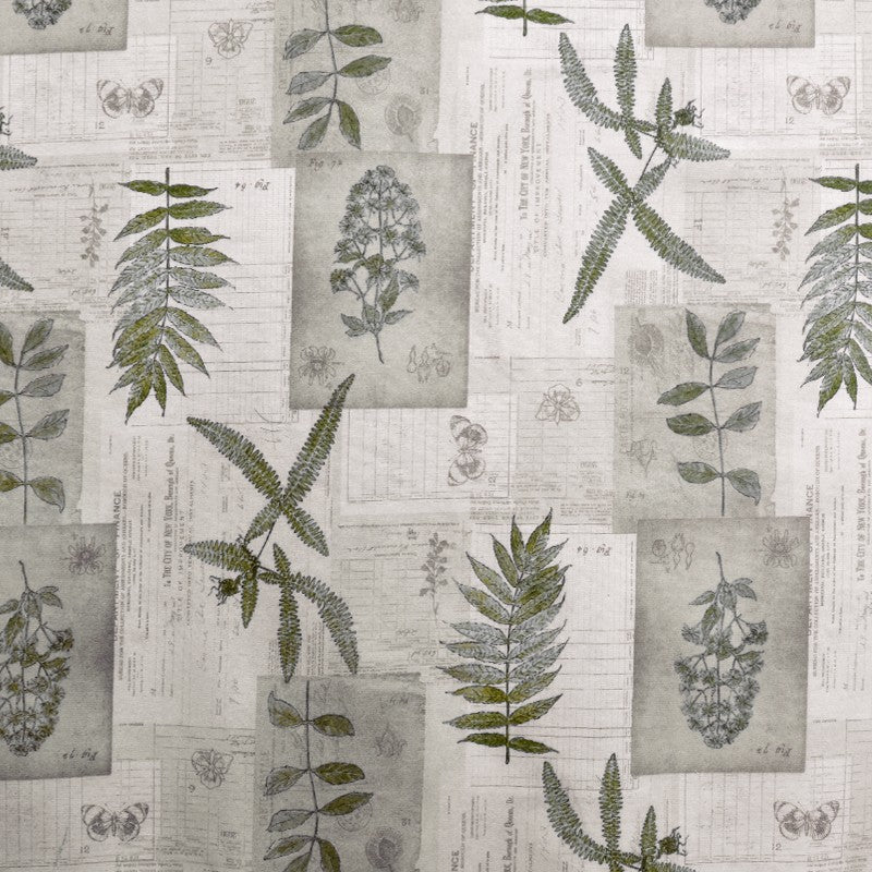 Toile Imprimée Botanique Vert - Ribes y Casals