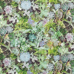 Toile Imprimée Garden Vert - Ribes y Casals