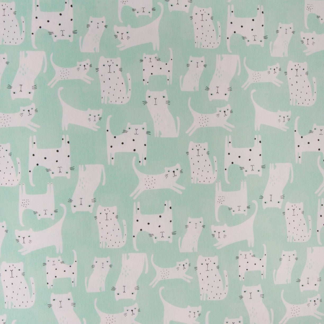 Toile imprimée Chatons Vert - Ribes y Casals