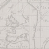 Toile Mappemonde Vintage - Ribes y Casals