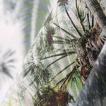 Toile Oasis Blanc - Ribes y Casals