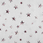 Toile Étoiles Écossais - Ribes y Casals