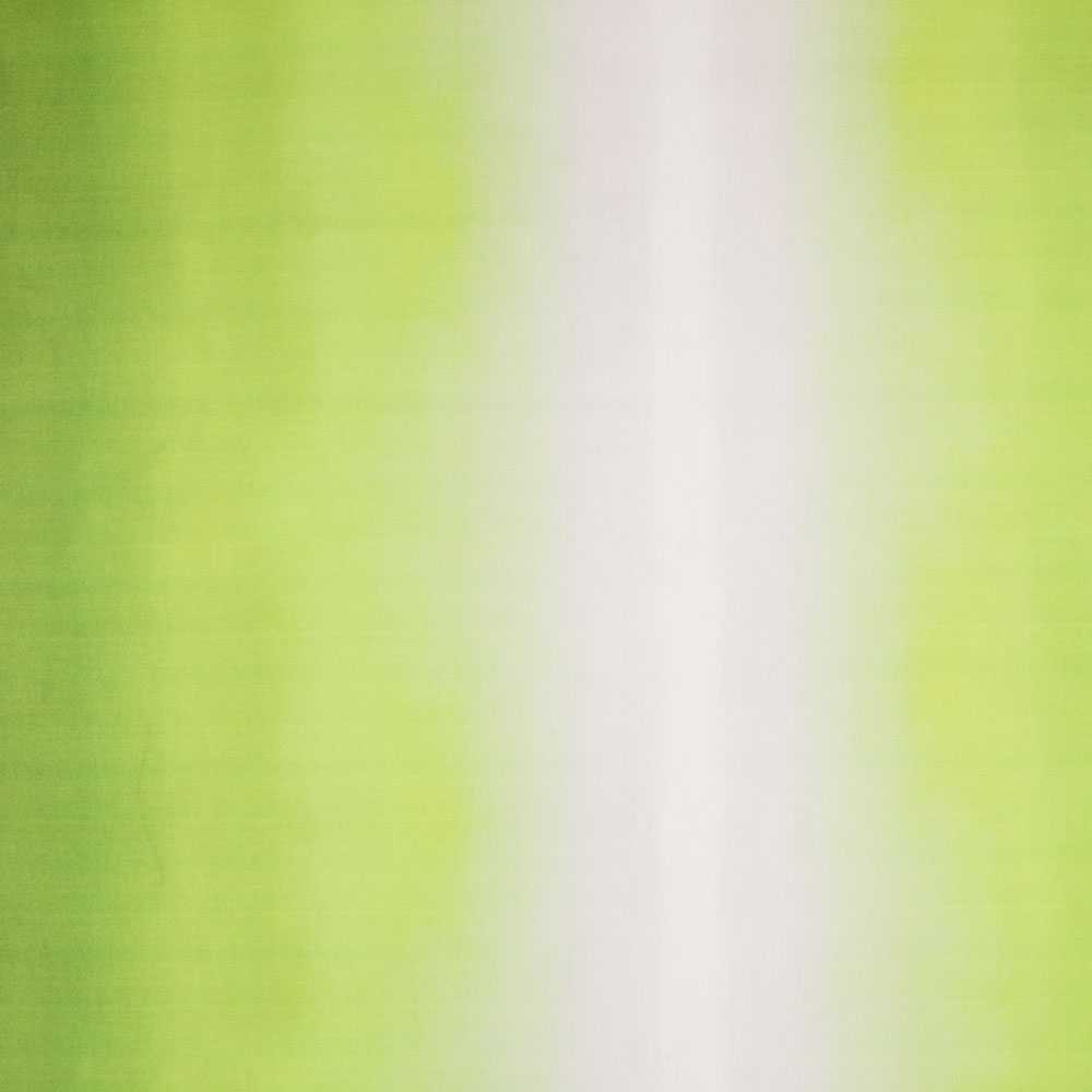 Toile Dégradé Vert Blanc - Ribes y Casals