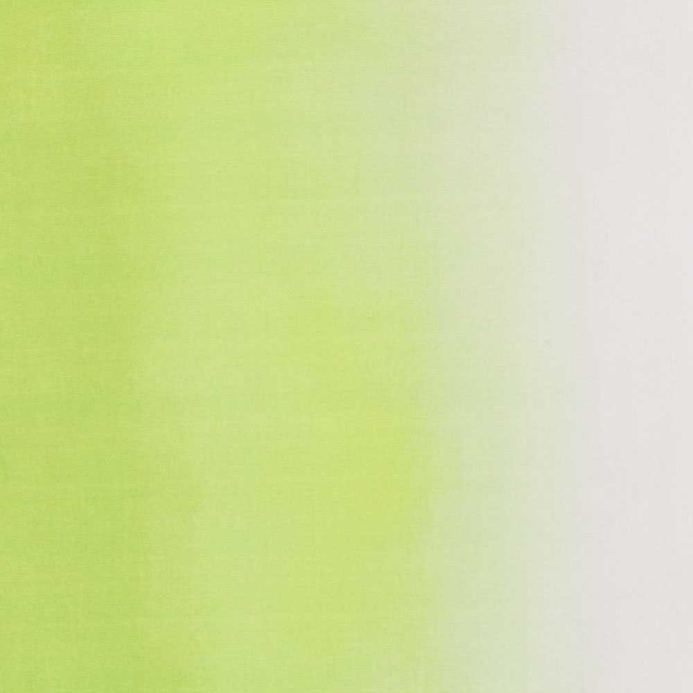 Toile Dégradé Vert Blanc - Ribes y Casals