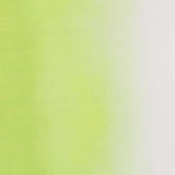 Toile Dégradé Vert Blanc - Ribes y Casals