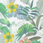 Toile Toucan Tropical Vert - Ribes y Casals