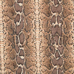 Toile Animal Print Ocre - Ribes y Casals