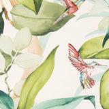 Toile Tropical Panama Oiseaux - Ribes y Casals