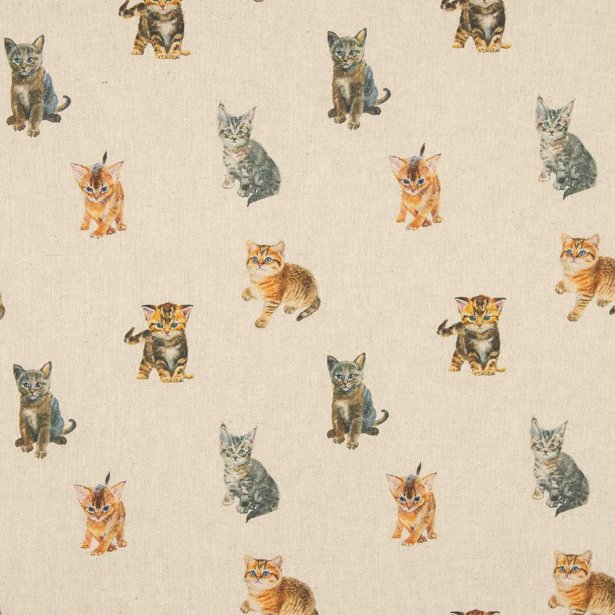 Toile imprimée chaton - Ribes y Casals