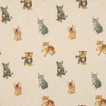 Toile imprimée chaton - Ribes y Casals