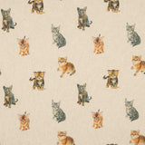 Toile imprimée chaton - Ribes y Casals