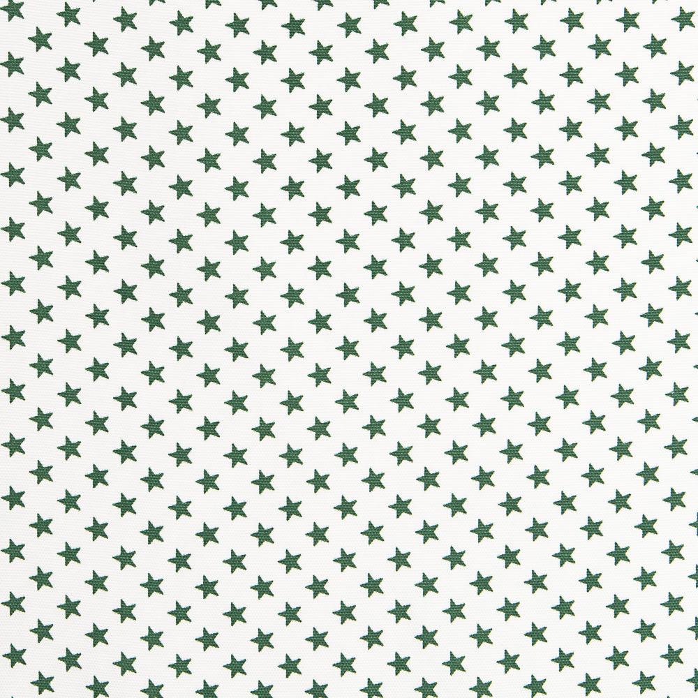 Toile Étoiles 13mm Vert - Ribes y Casals