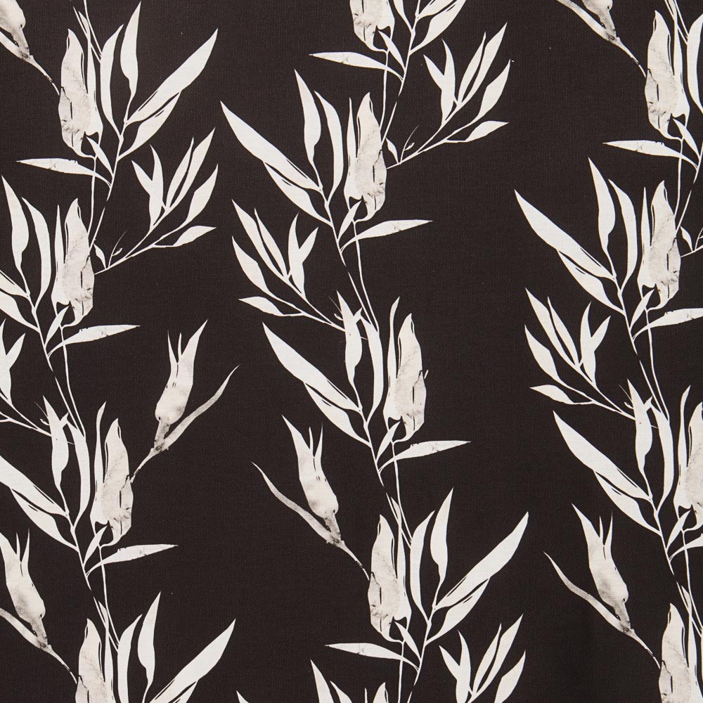 Toile Plantes Fond Noir - Ribes y Casals