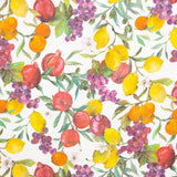 Toile Panama Multi Fruits - Ribes y Casals
