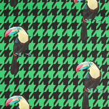 Toile Toucan Vert - Ribes y Casals