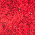 Toile American Beauty - Ribes y Casals