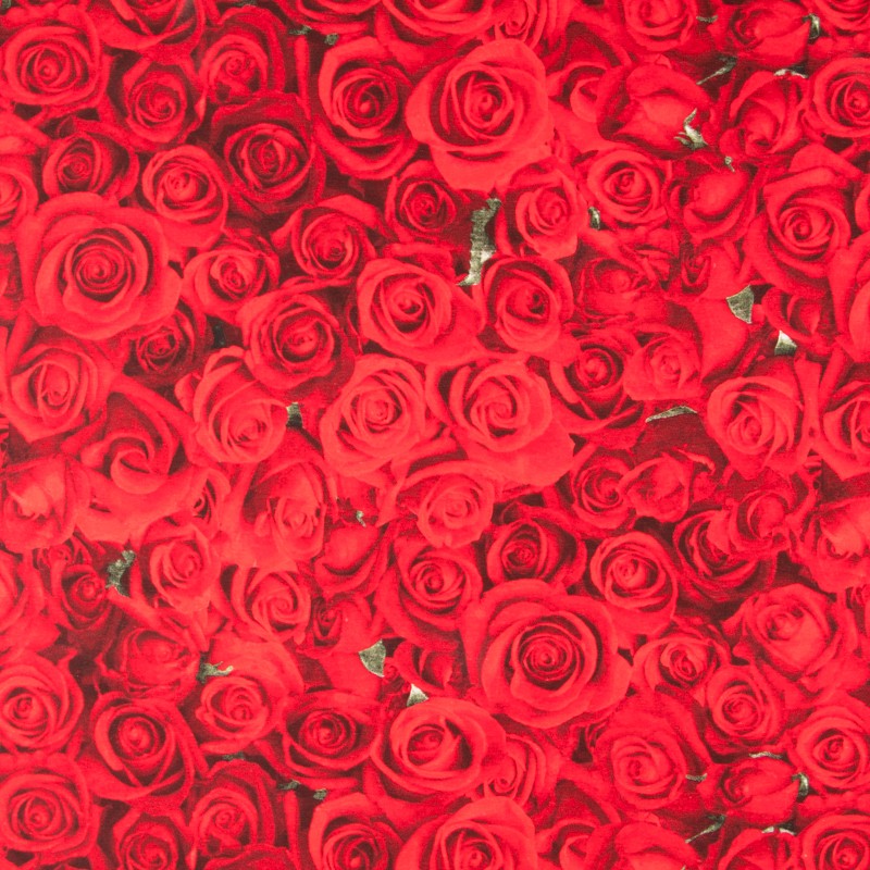 Toile American Beauty - Ribes y Casals