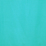 Lycra Imprimé à Pois Turquoise - Ribes y Casals