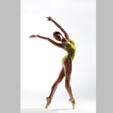 Lycra Hologramme Zèbre Jaune - Ribes y Casals