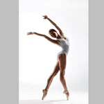 Lycra Hologramme Zèbre Blanc - Ribes y Casals