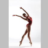 Lycra Hologramme Zèbre Rouge - Ribes y Casals