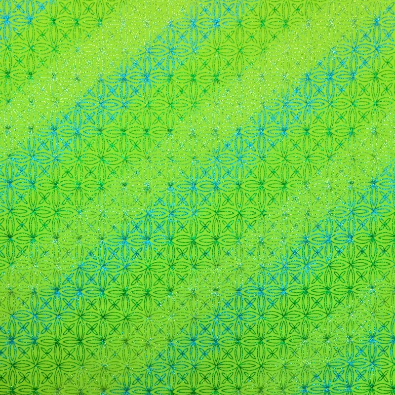 Lycra Paillettes Fleurs Vert Fluo - Ribes y Casals