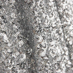 Tissu Lycra à paillettes argent sur tulle élastique - Ribes y Casals