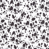 Lycra Imprime Dalmatien Fond Blanc - Ribes y Casals