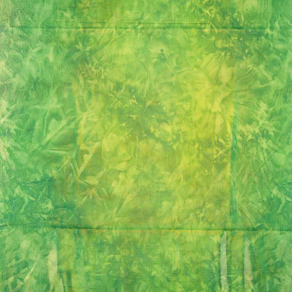 Lycra Hologramme Relief Vert - Ribes y Casals