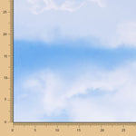 Lycra Imprimé Bleu Ciel - Ribes y Casals