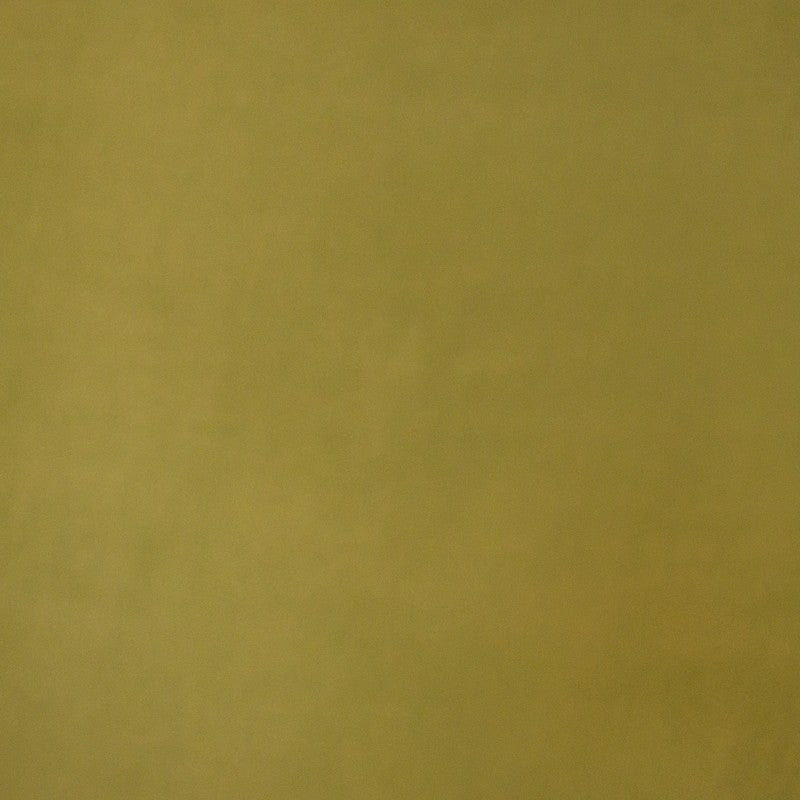 Lyocell  Uni Vert Olive - Ribes y Casals