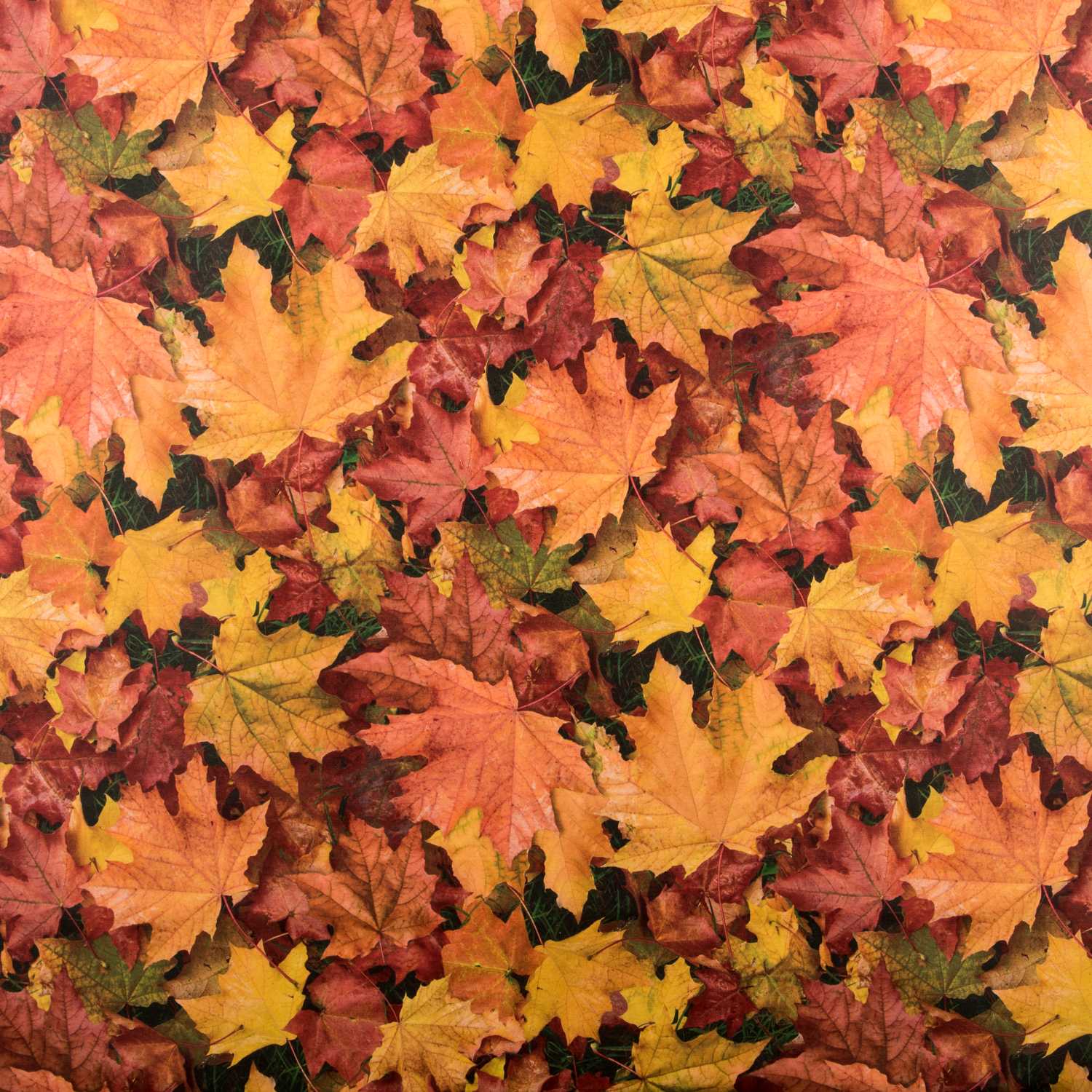 Nappe Anti-tâche Feuilles Automne - Ribes y Casals