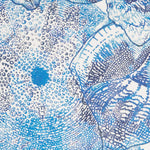 Nappe Anti-tâche Océan Bleu - Ribes y Casals